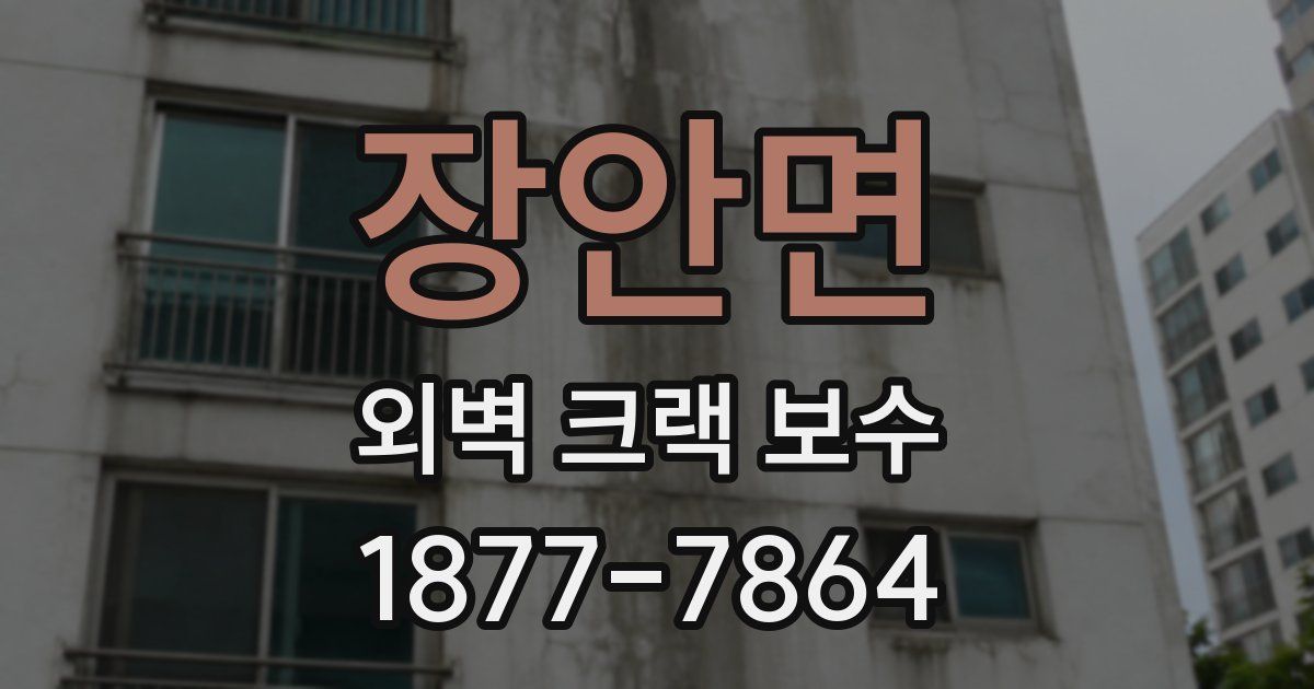장안면 외벽 크랙 보수