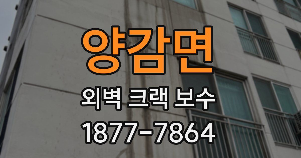 양감면 외벽 크랙 보수