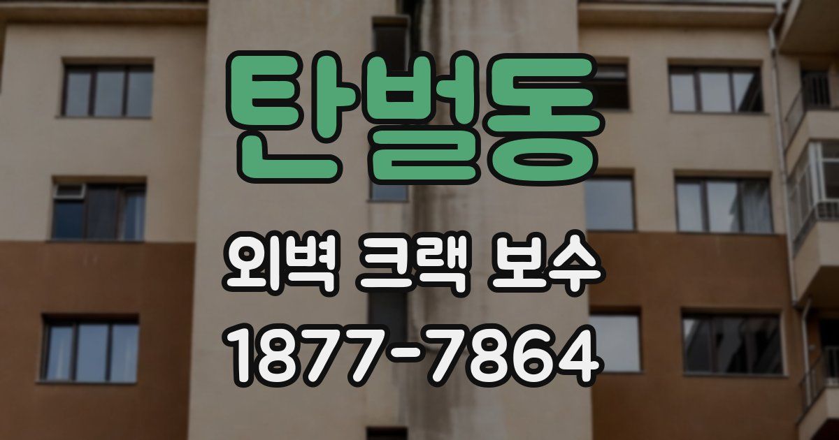 탄벌동 외벽 크랙 보수