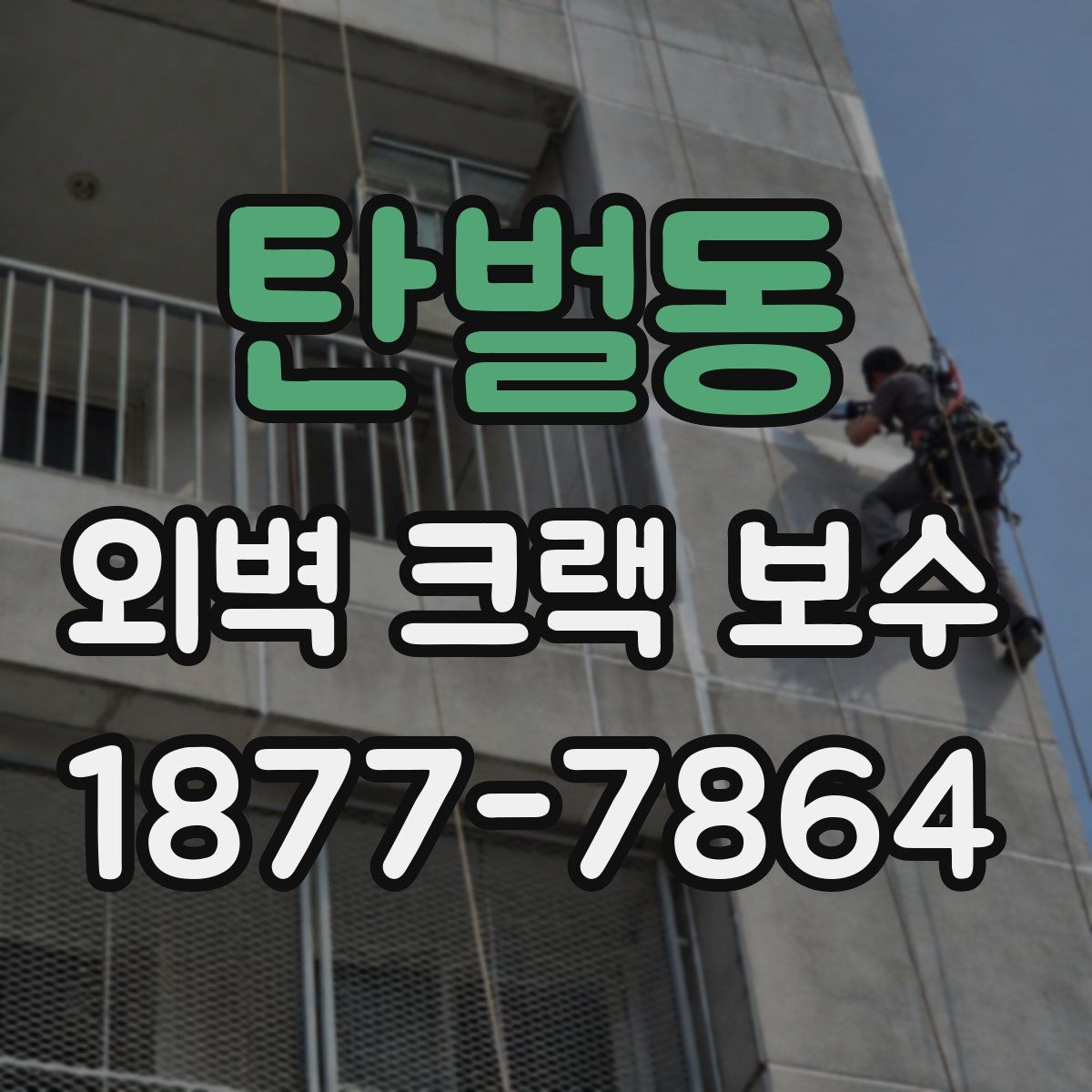 탄벌동 외벽 크랙 보수