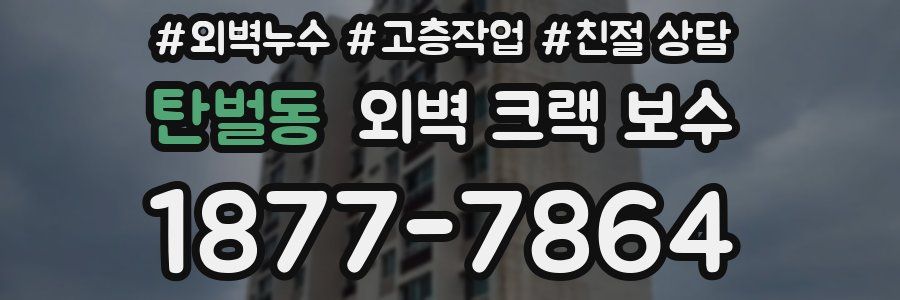 탄벌동 외벽 크랙 보수