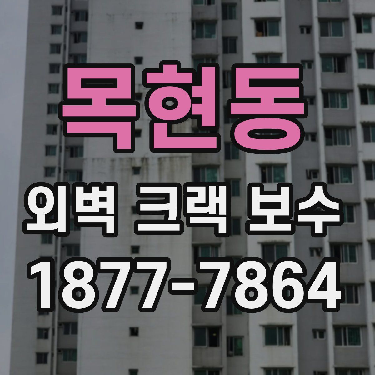 목현동 외벽 크랙 보수