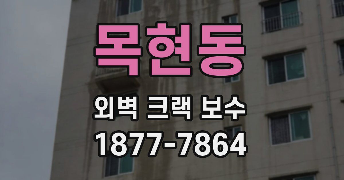목현동 외벽 크랙 보수