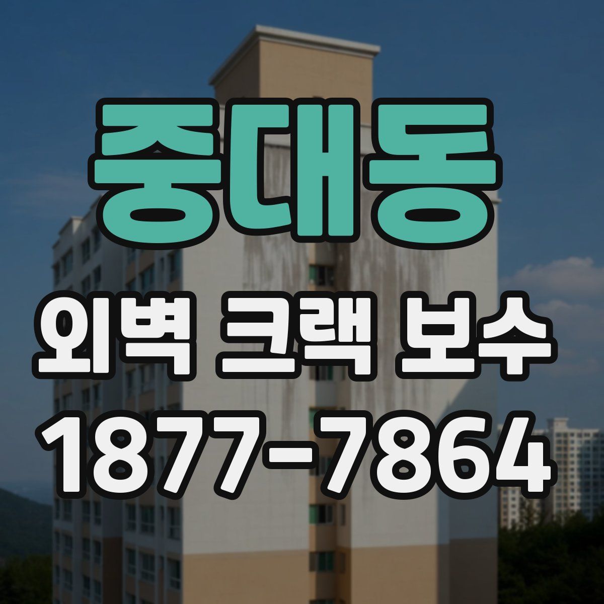 중대동 외벽 크랙 보수