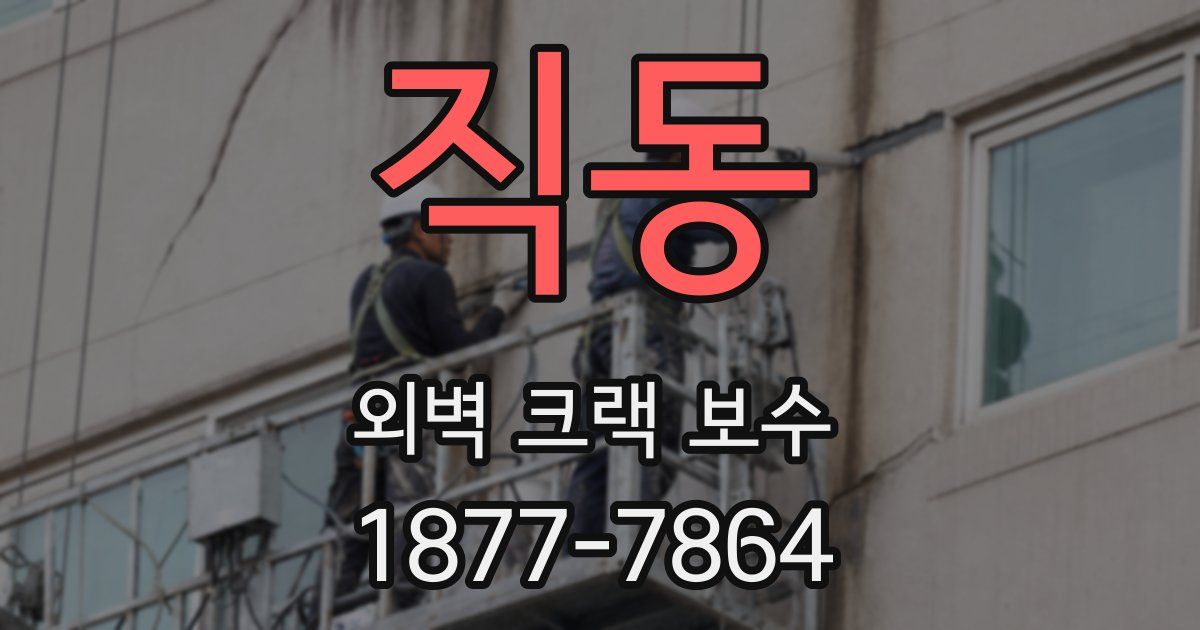 직동 외벽 크랙 보수