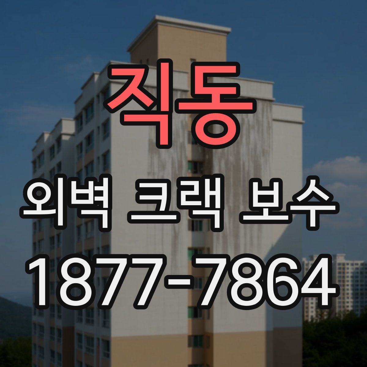 직동 외벽 크랙 보수