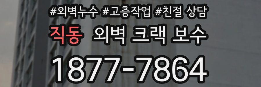 직동 외벽 크랙 보수