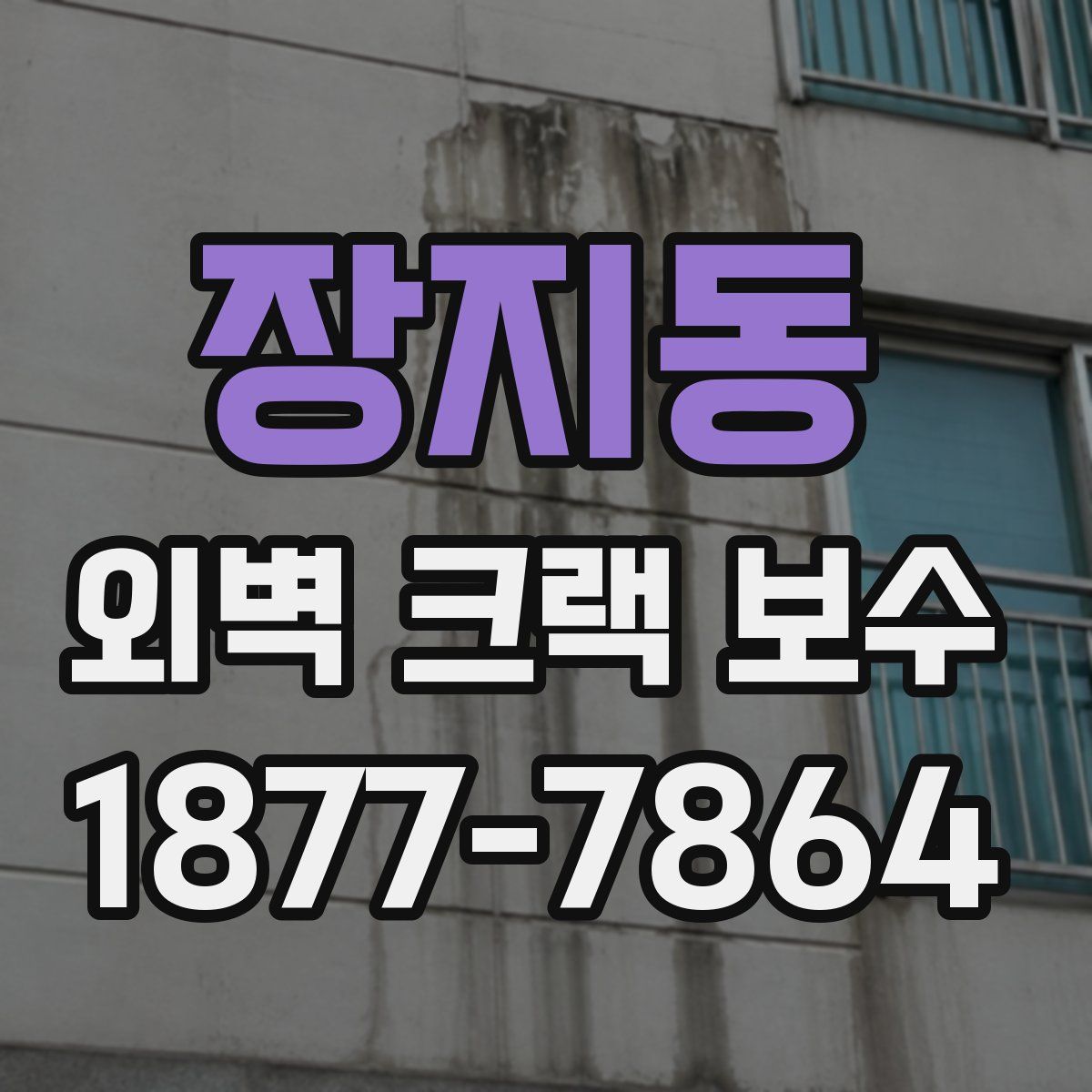 장지동 외벽 크랙 보수