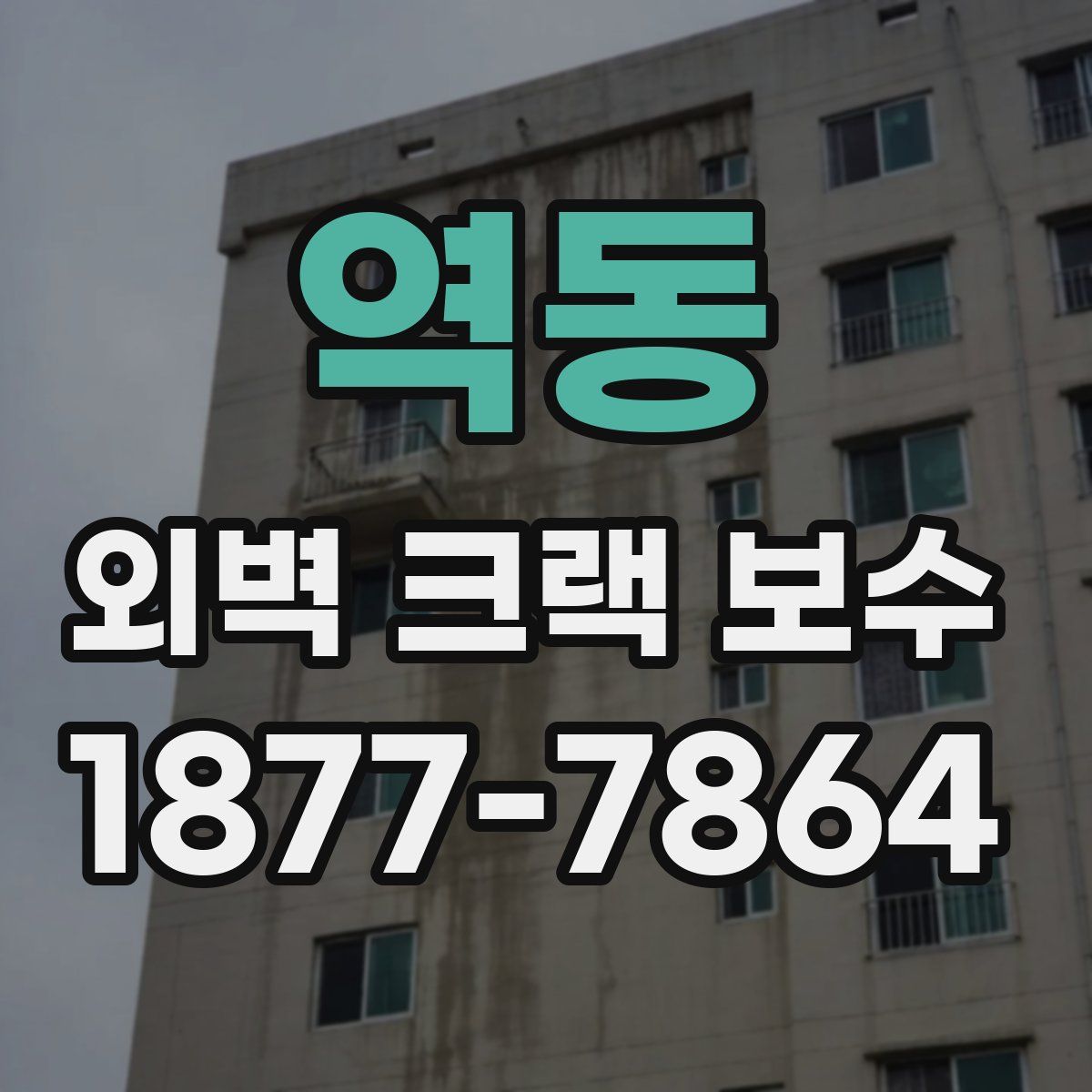역동 외벽 크랙 보수