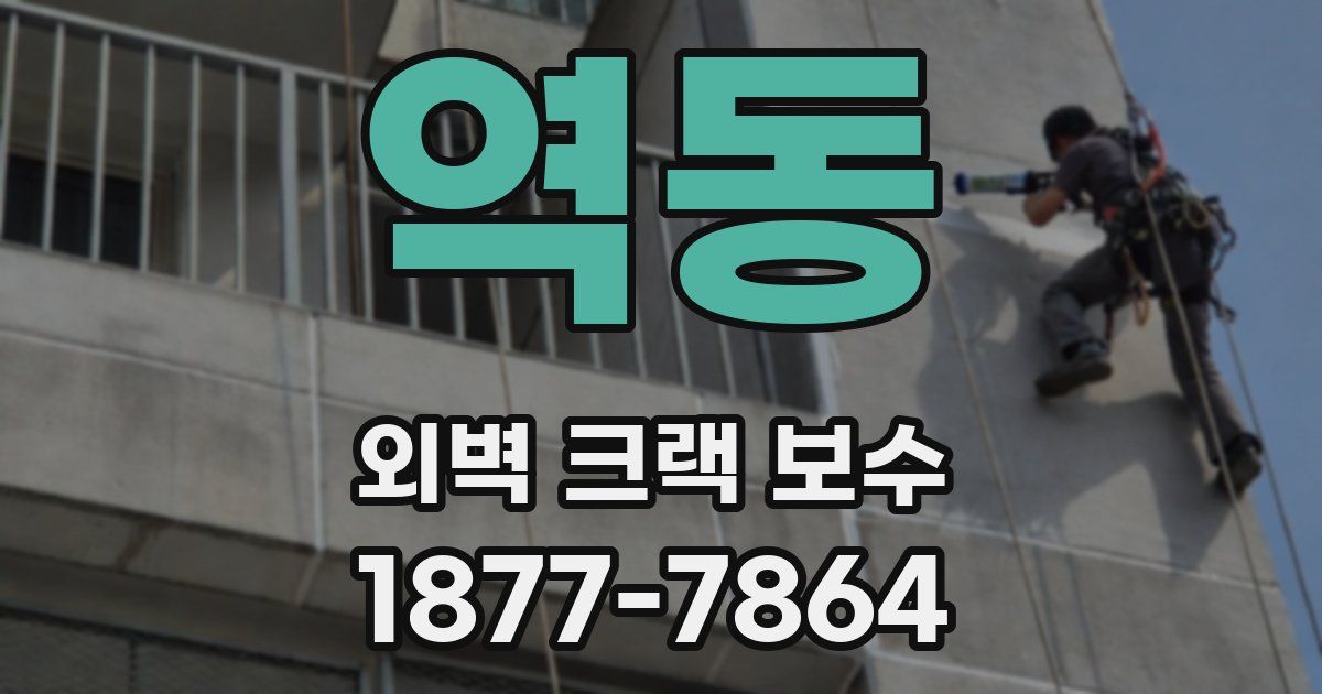 역동 외벽 크랙 보수