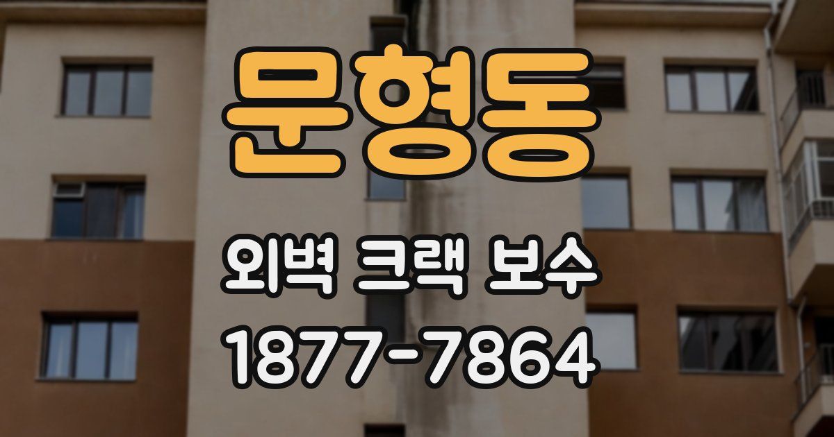 문형동 외벽 크랙 보수
