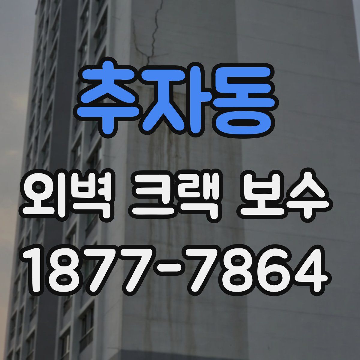 추자동 외벽 크랙 보수