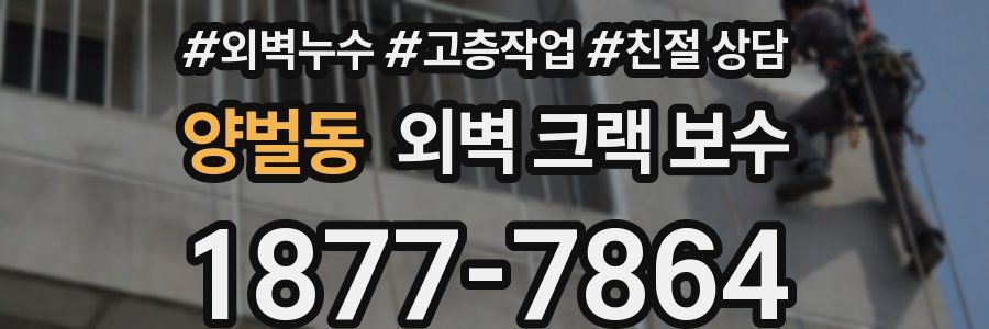 양벌동 외벽 크랙 보수