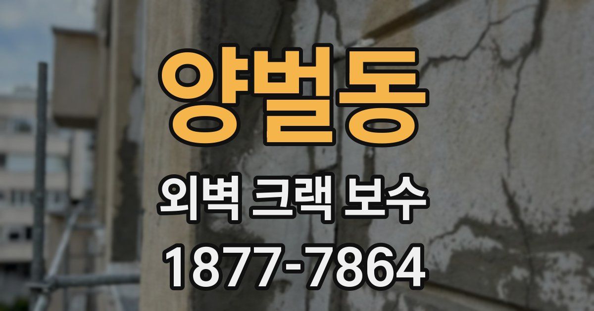 양벌동 외벽 크랙 보수