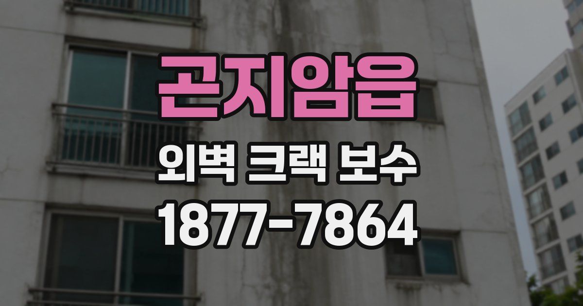 곤지암읍 외벽 크랙 보수