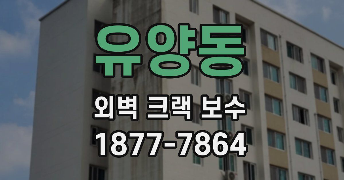 유양동 외벽 크랙 보수