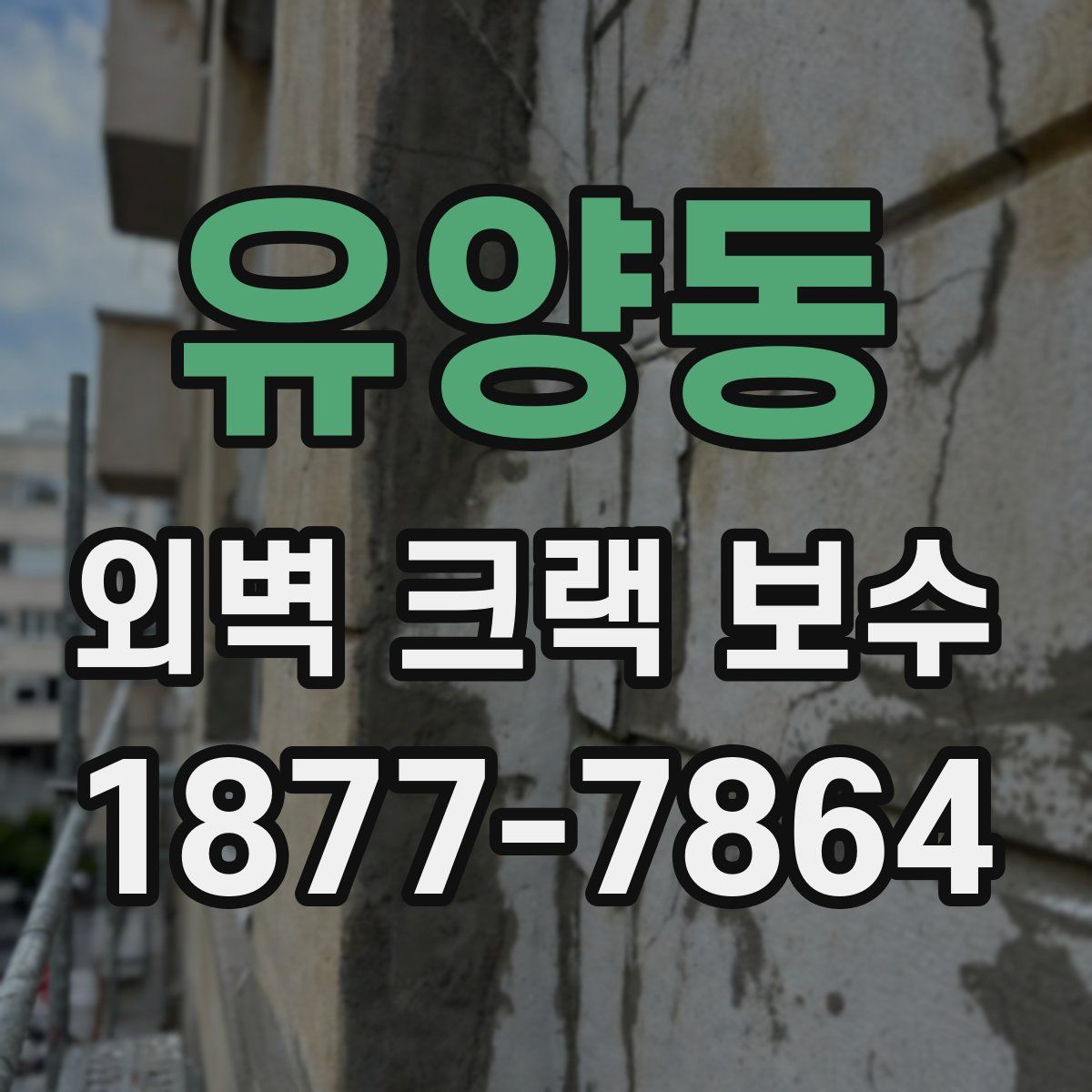 유양동 외벽 크랙 보수