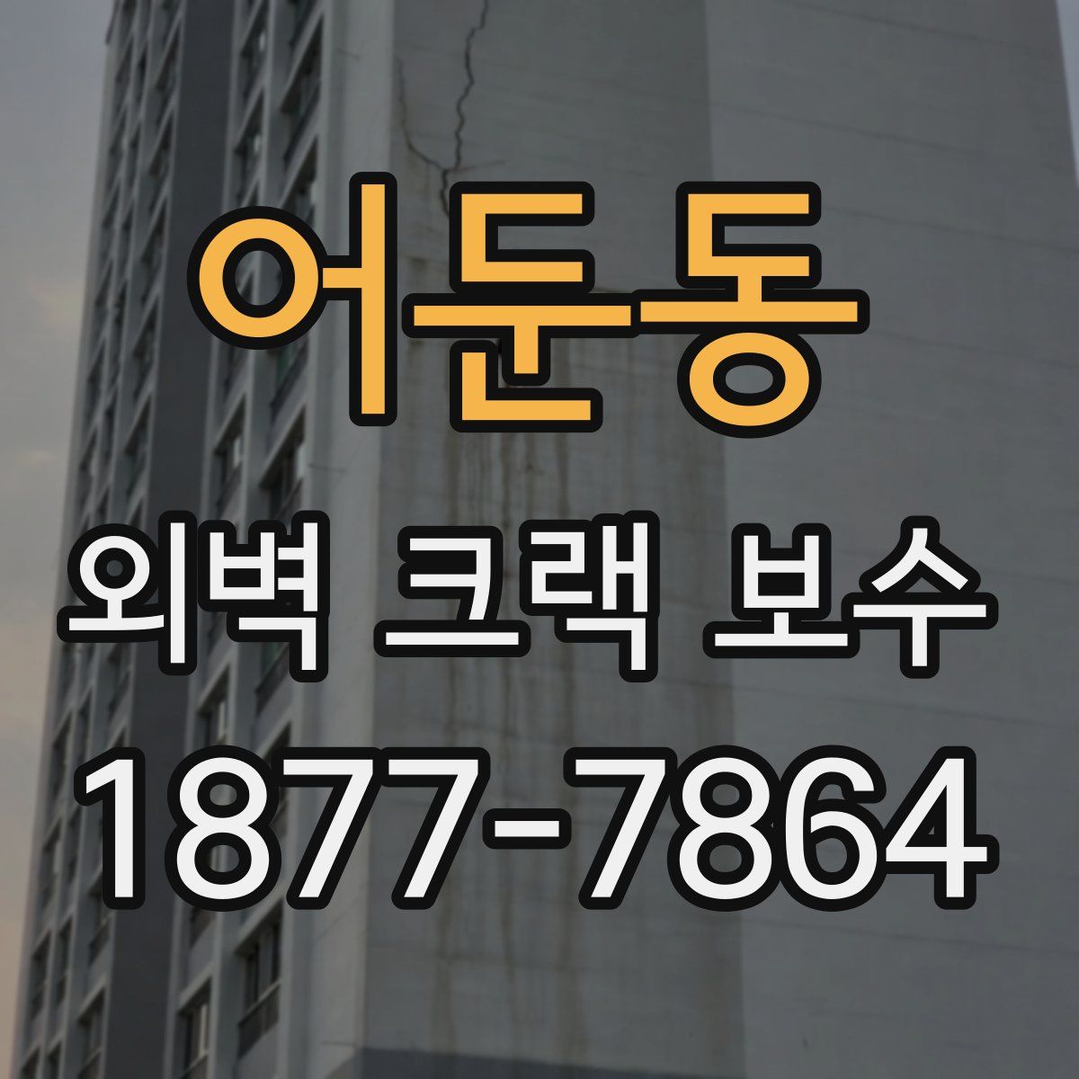 어둔동 외벽 크랙 보수