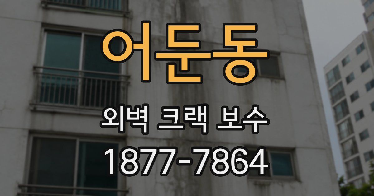 어둔동 외벽 크랙 보수