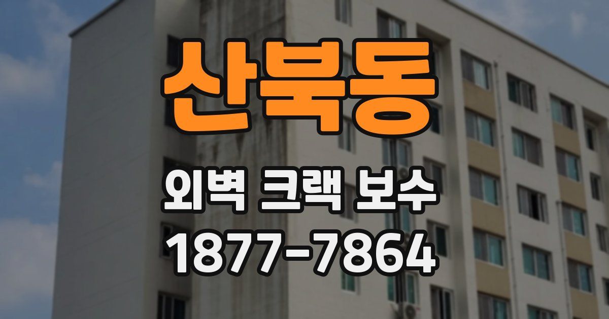 산북동 외벽 크랙 보수