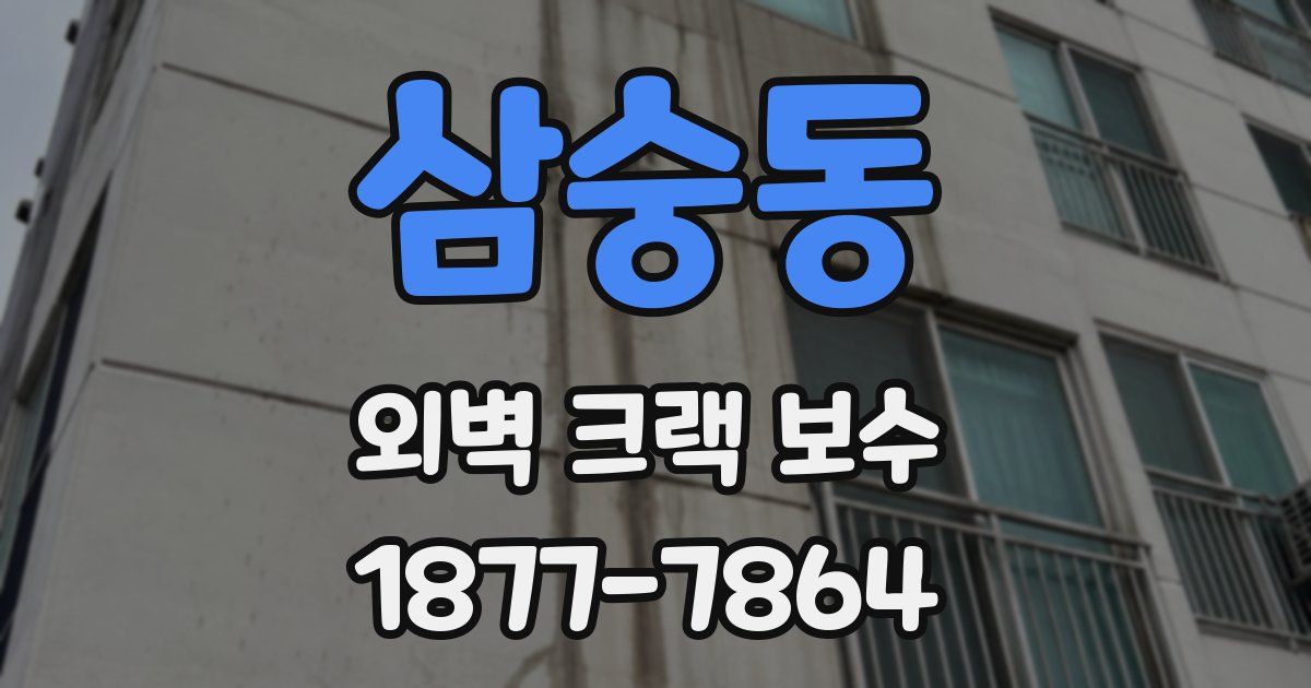 삼숭동 외벽 크랙 보수
