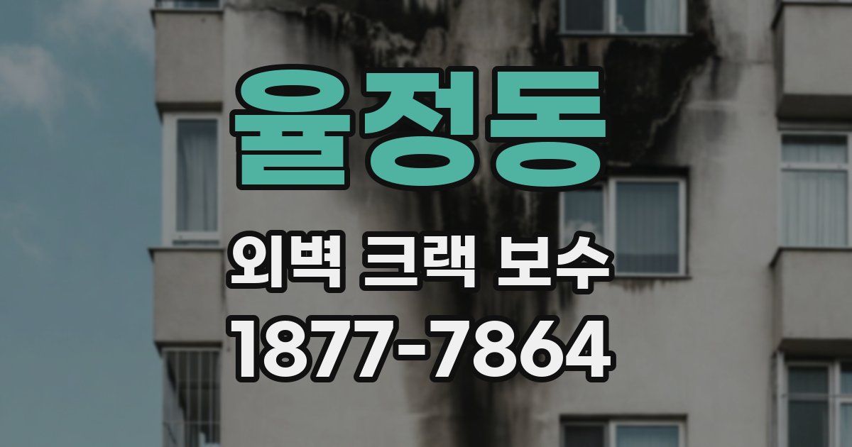 율정동 외벽 크랙 보수