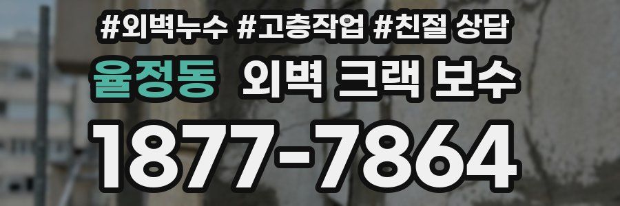 율정동 외벽 크랙 보수