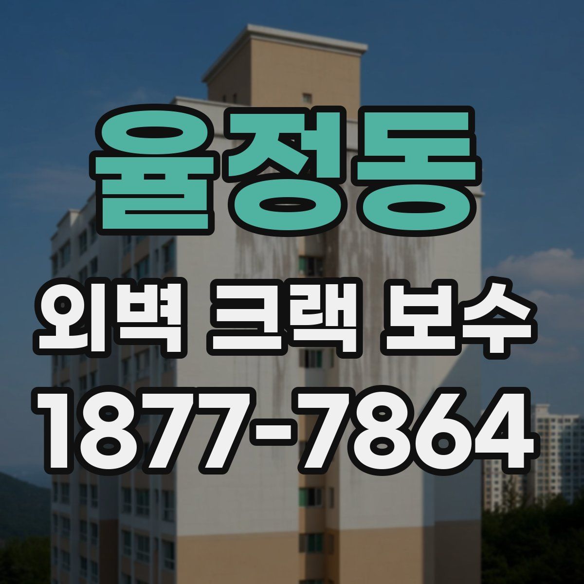율정동 외벽 크랙 보수