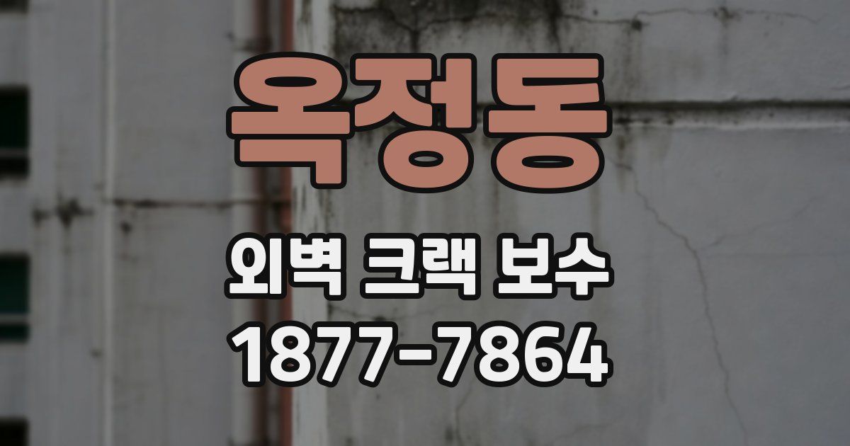 옥정동 외벽 크랙 보수