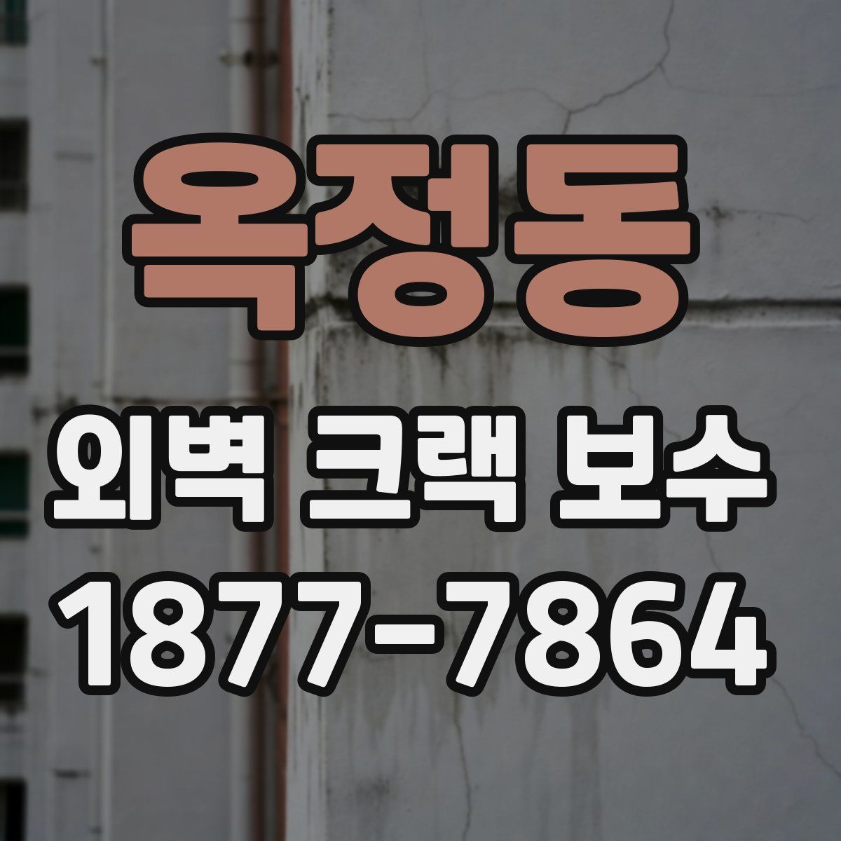 옥정동 외벽 크랙 보수