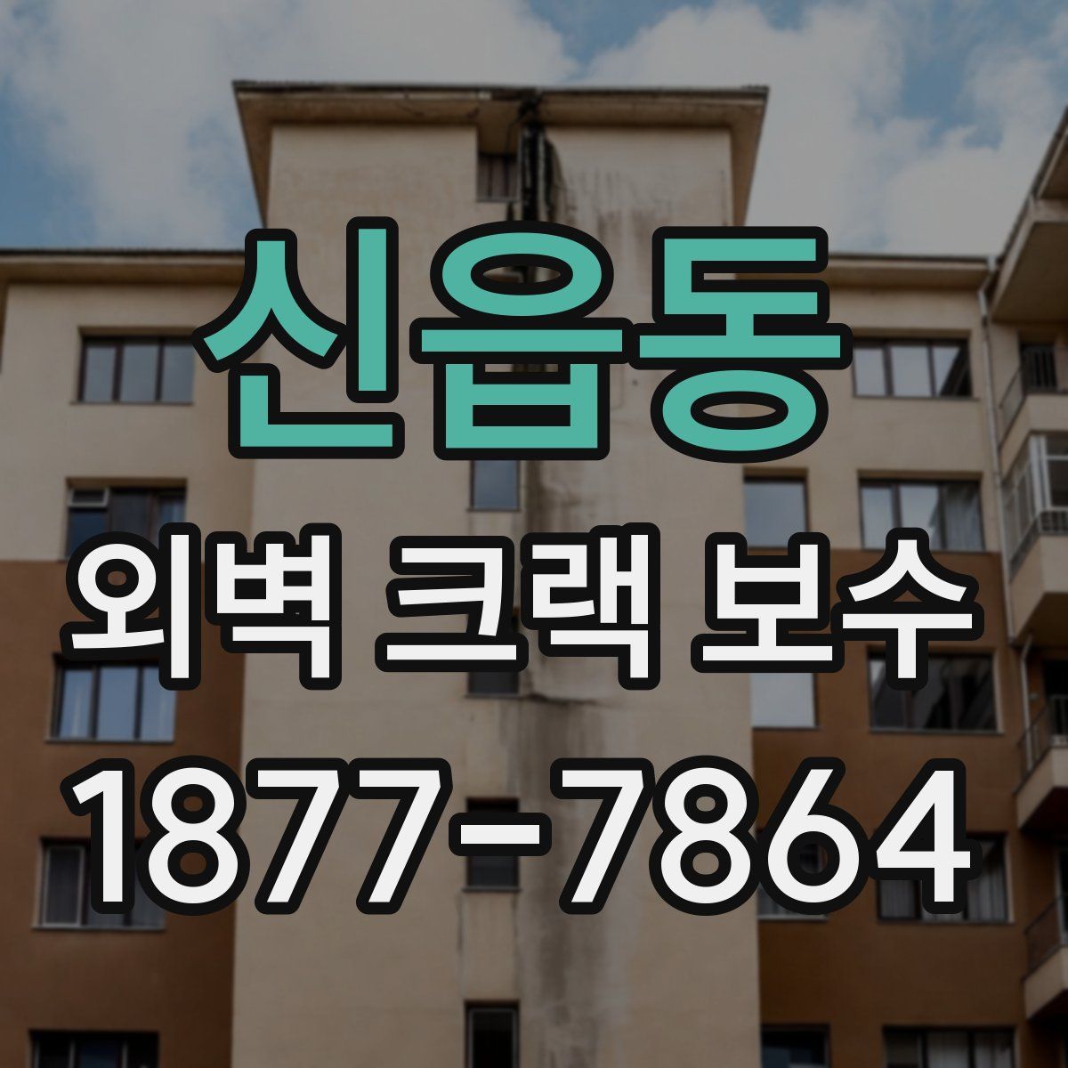 신읍동 외벽 크랙 보수