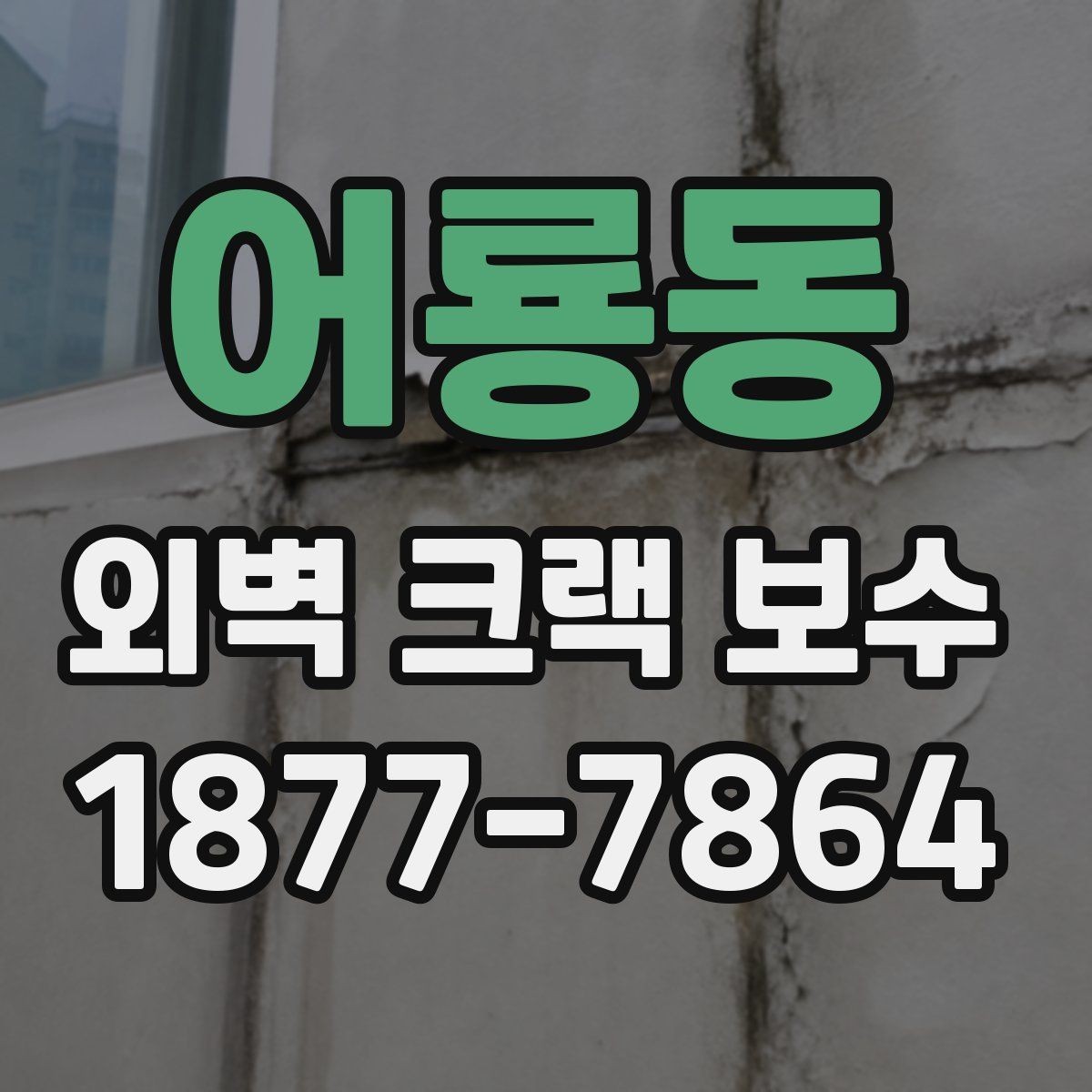 어룡동 외벽 크랙 보수 전 전문가 진단이 필요한 경우