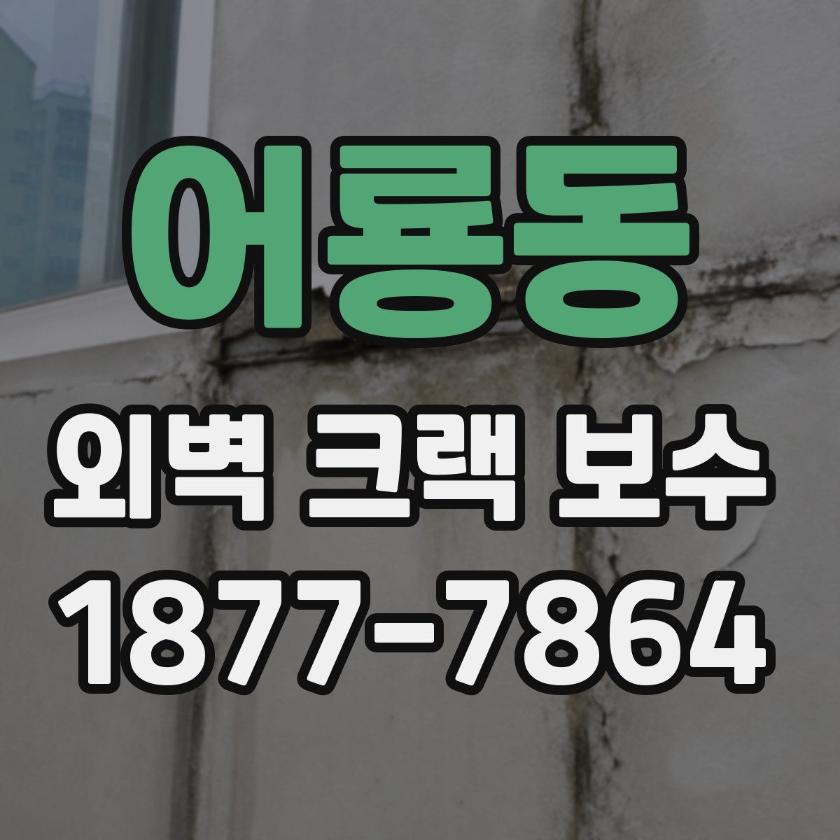 어룡동 외벽 크랙 보수