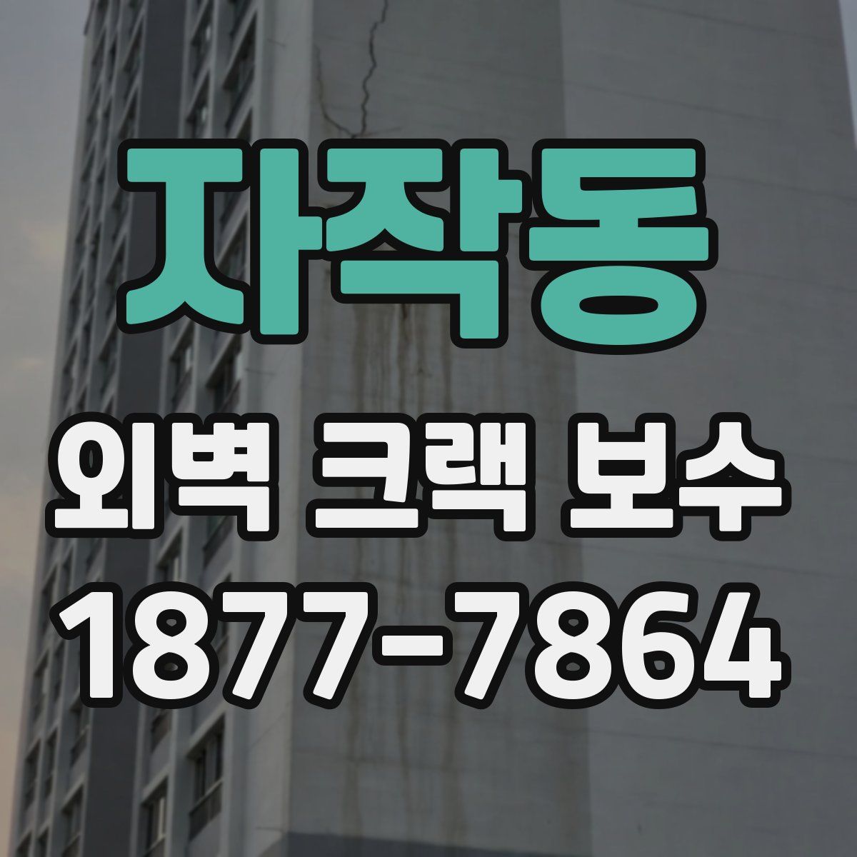 자작동 외벽 크랙 보수