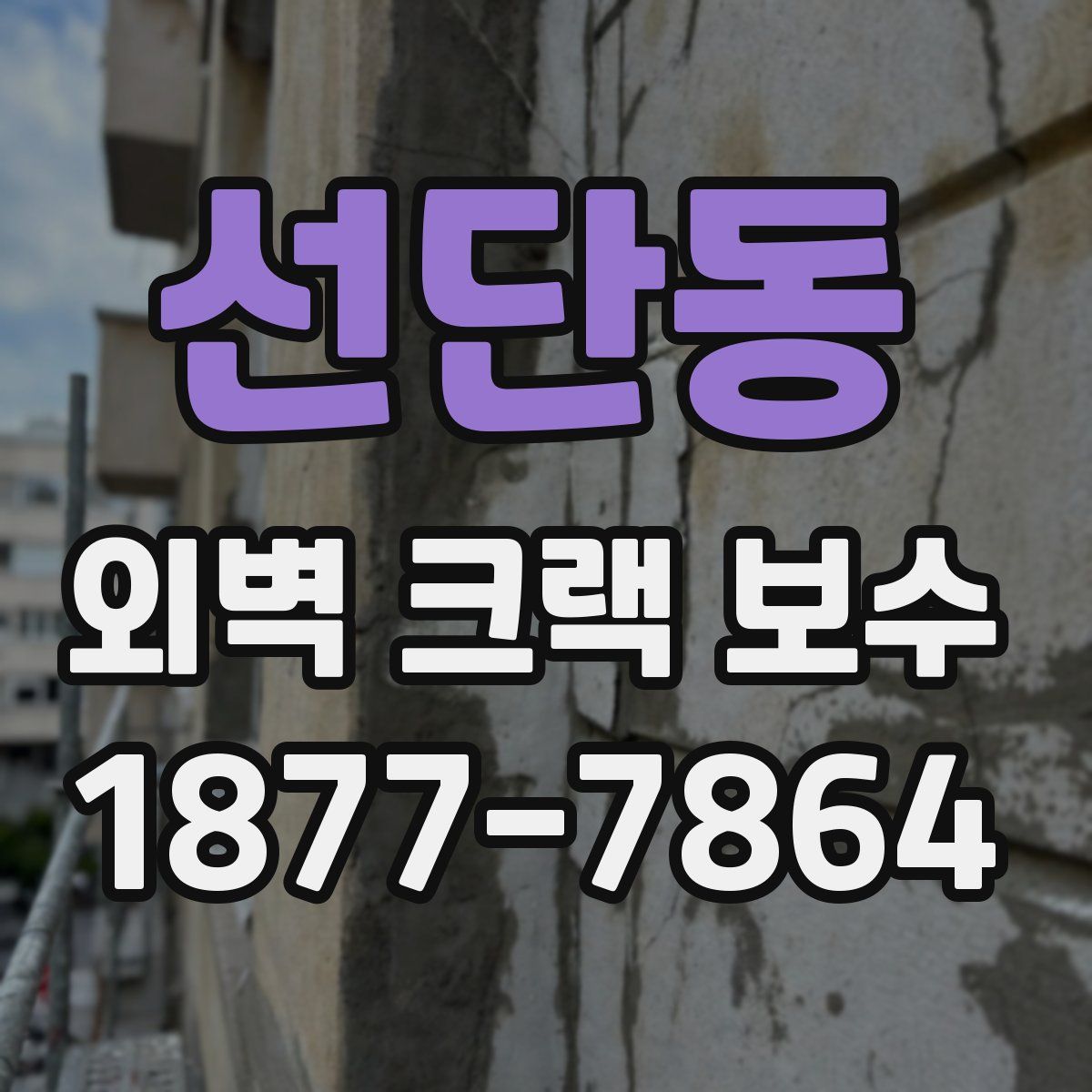 선단동 외벽 크랙 보수