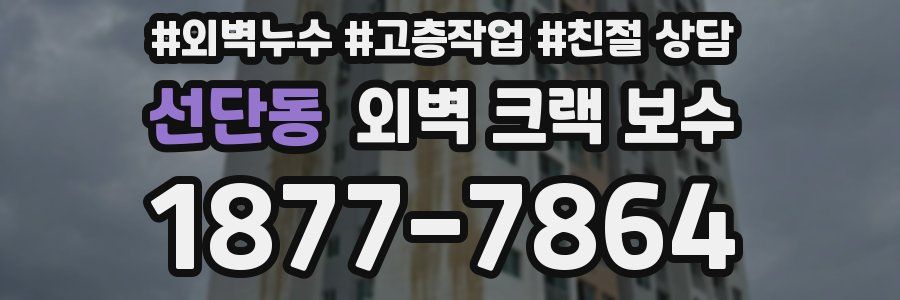 선단동 외벽 크랙 보수