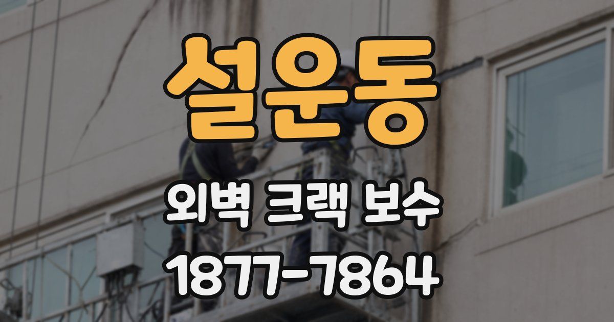 설운동 외벽 크랙 보수