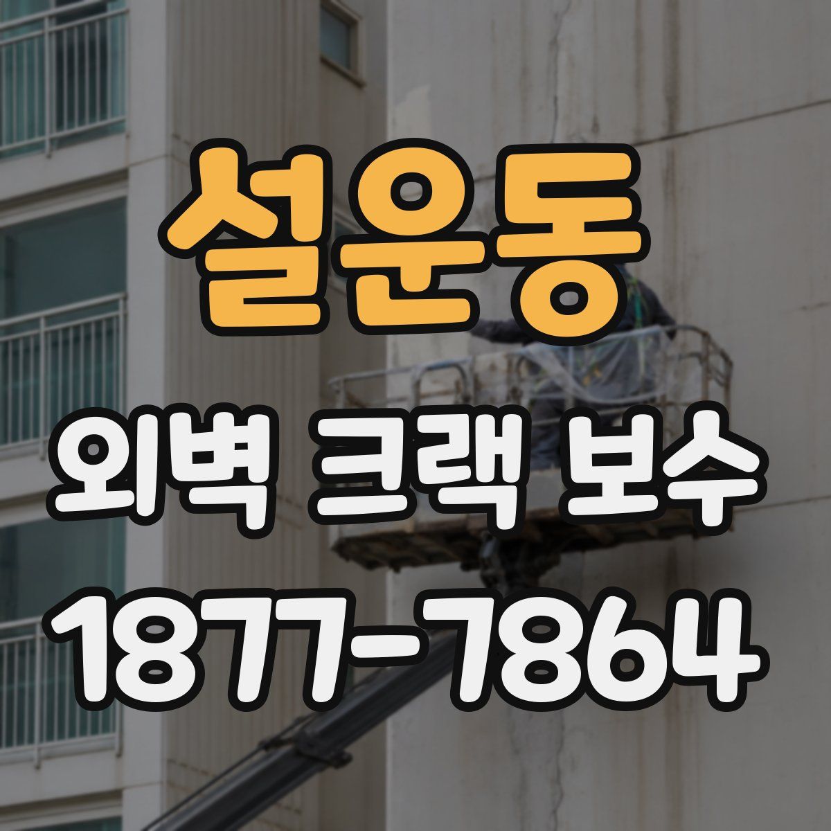 설운동 외벽 크랙 보수