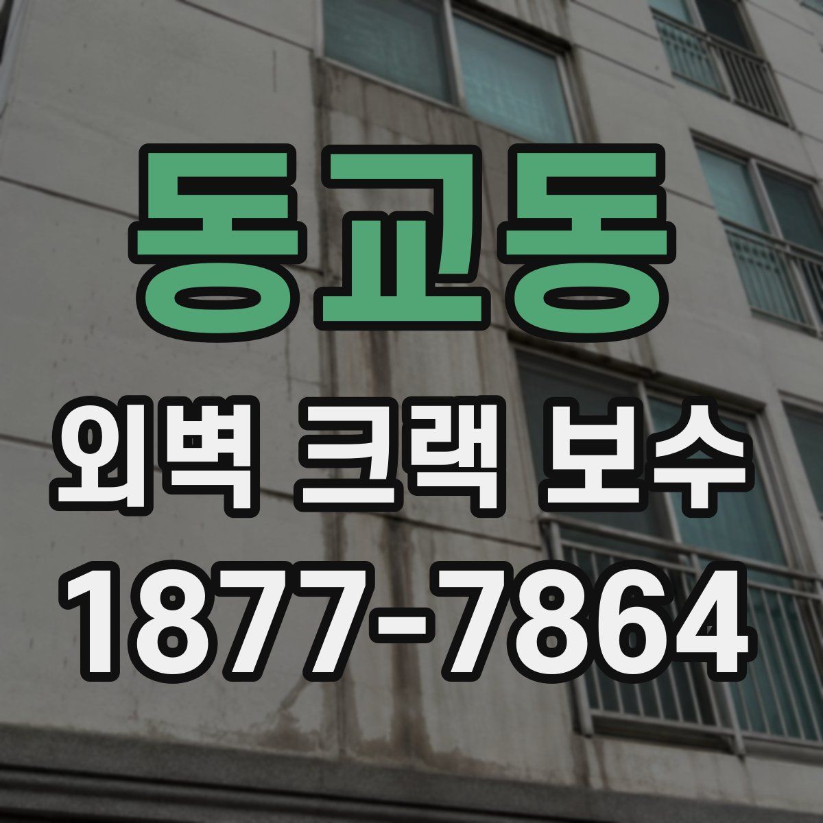 동교동 외벽 크랙 보수