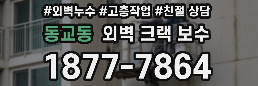 동교동 외벽 크랙 보수