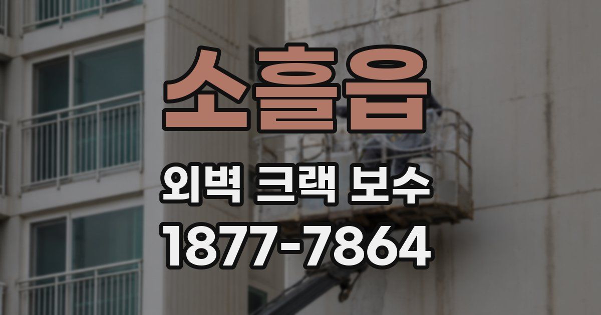 소흘읍 외벽 크랙 보수