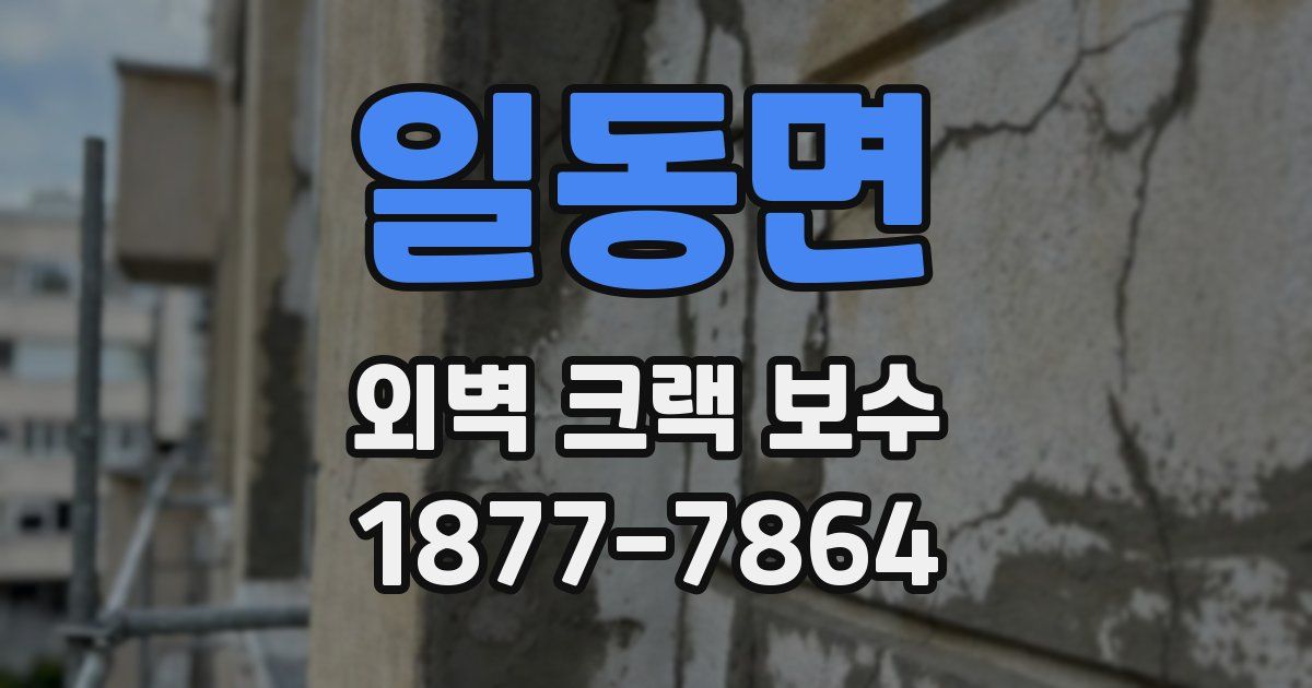 일동면 외벽 크랙 보수