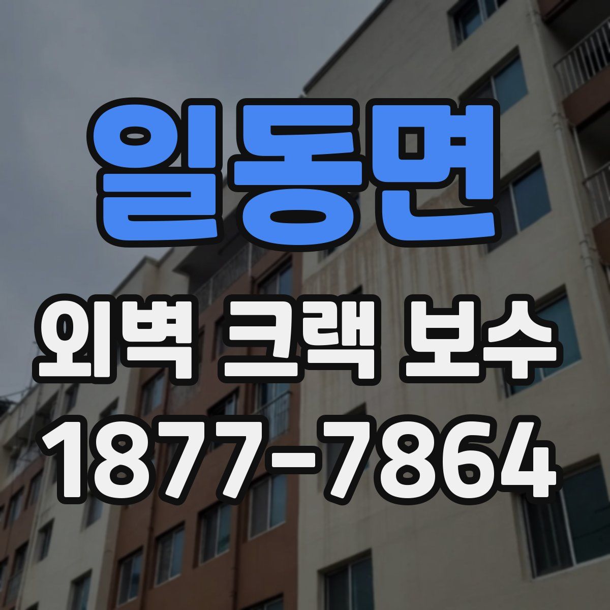 일동면 외벽 크랙 보수
