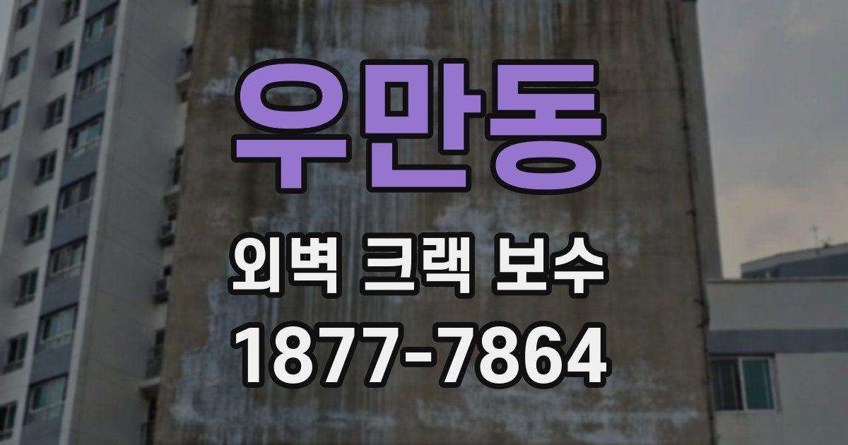 우만동 외벽 크랙 보수