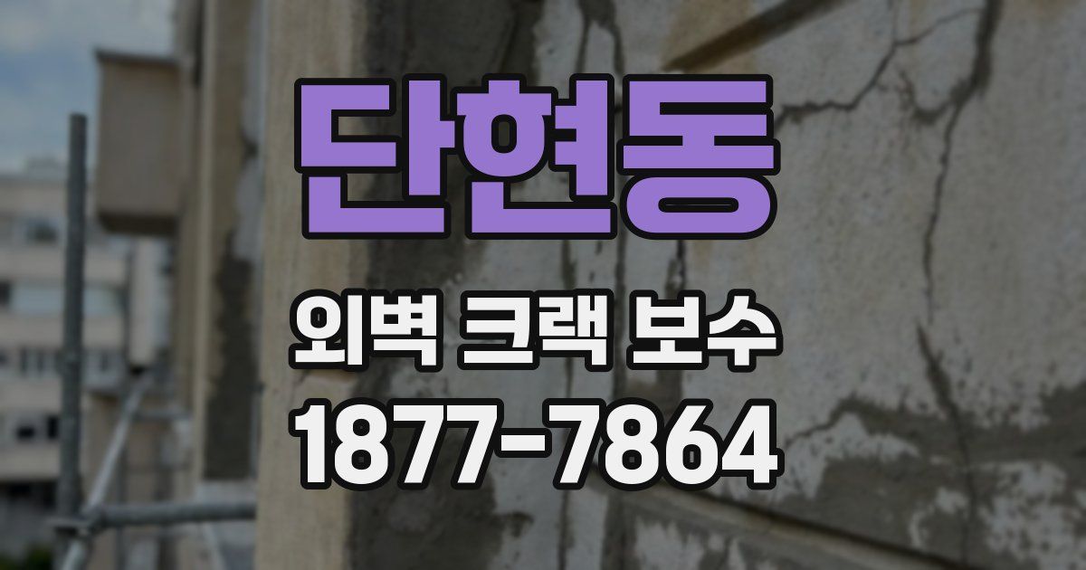 단현동 외벽 크랙 보수