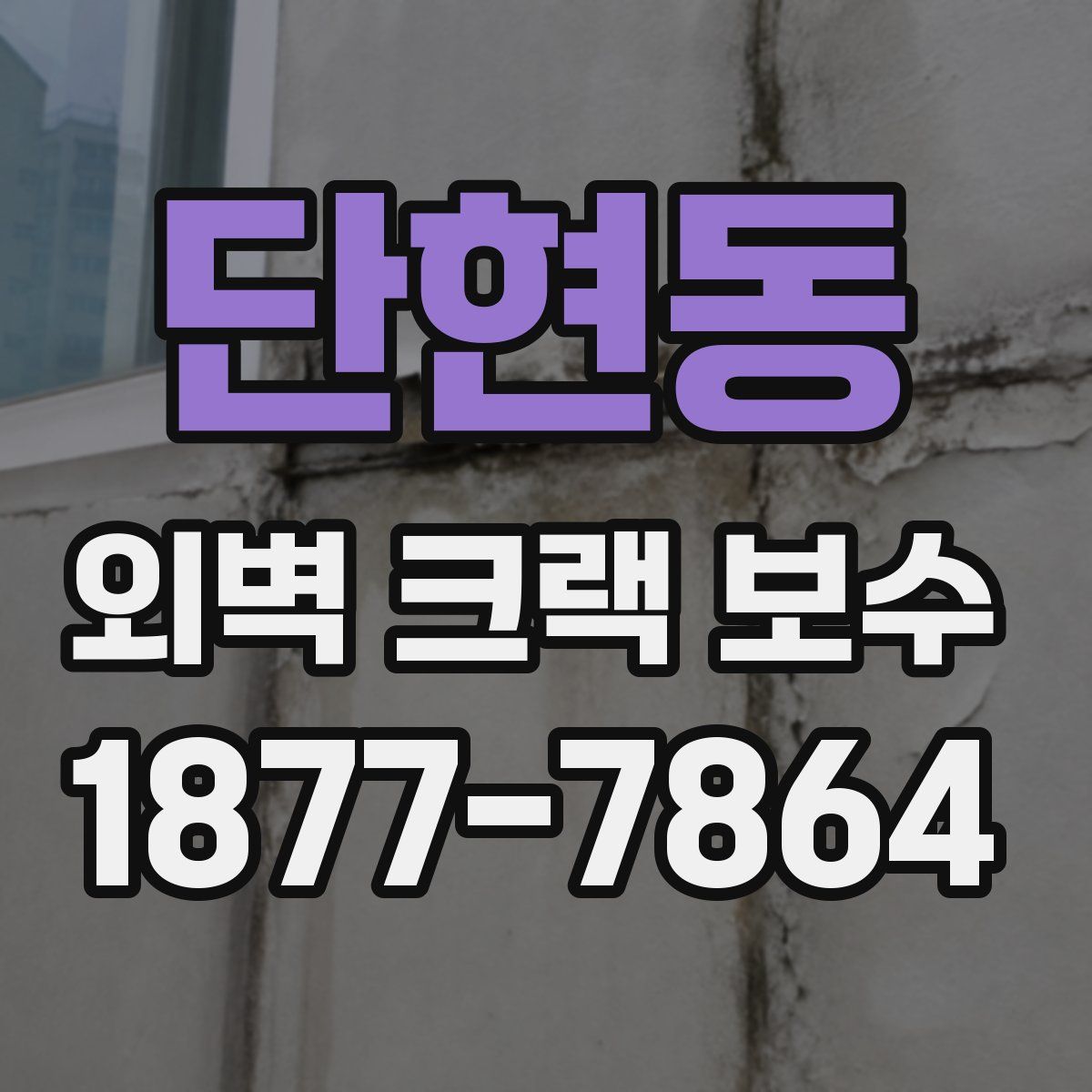 단현동 외벽 크랙 보수