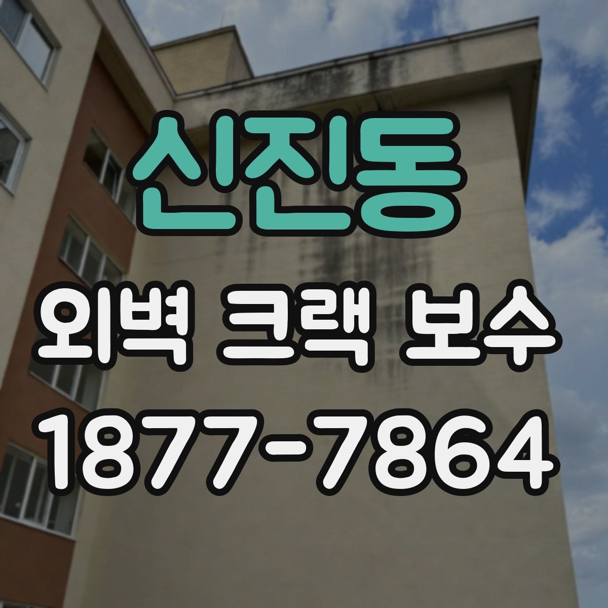 신진동 외벽 크랙 보수