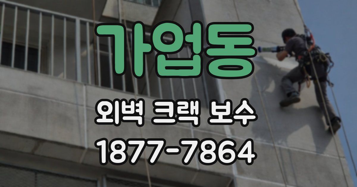 가업동 외벽 크랙 보수