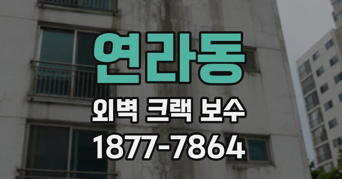 연라동 외벽 크랙 보수