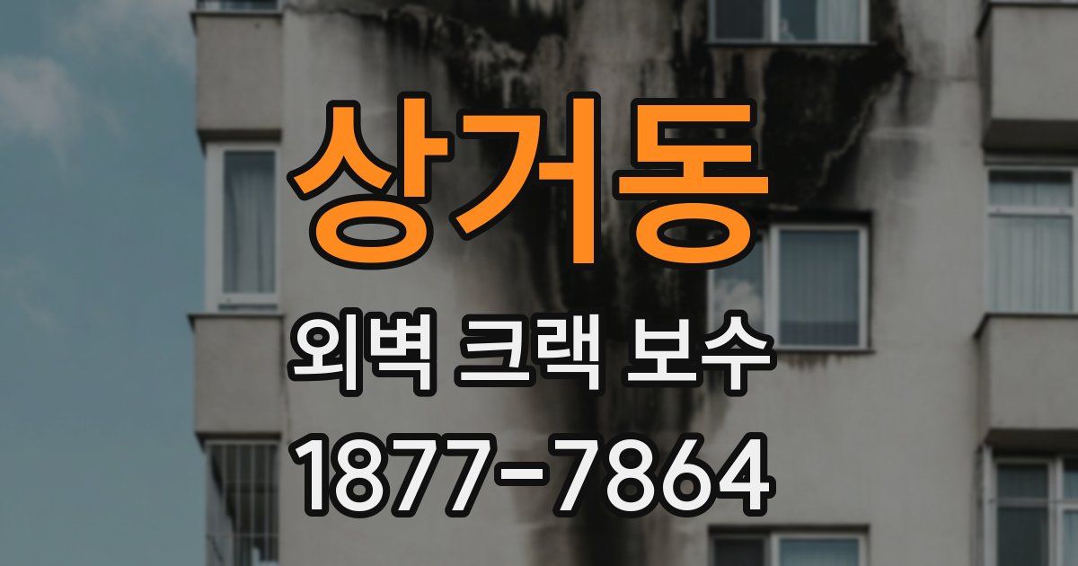 상거동 외벽 크랙 보수